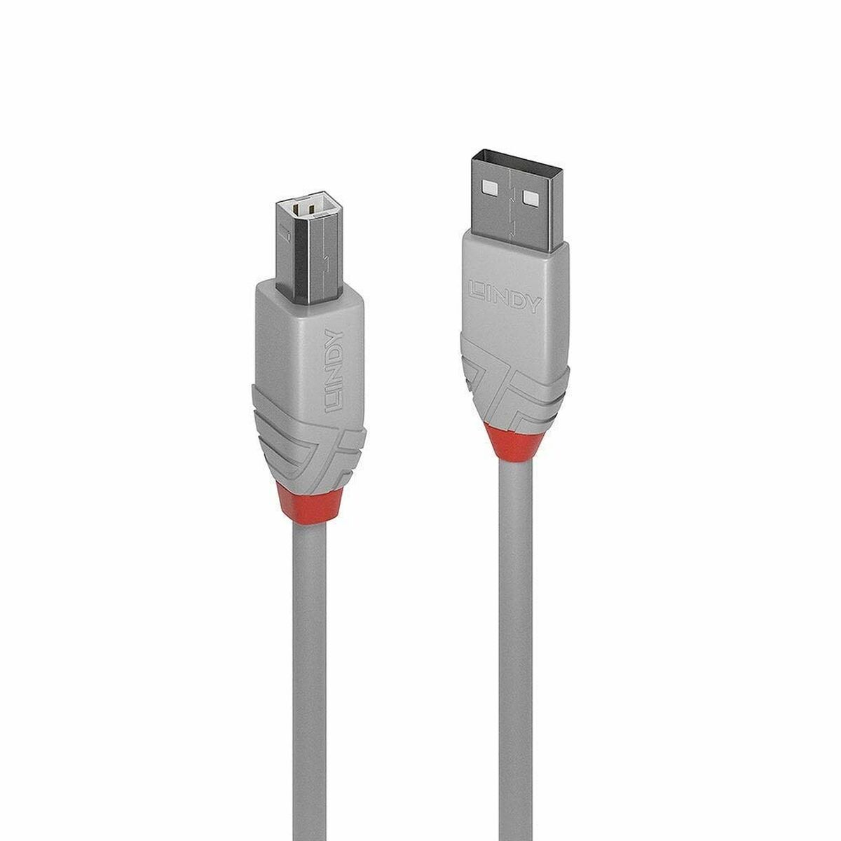 Cabo Micro USB LINDY Cinzento